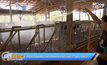 ปศุสัตว์เร่งตรวจสอบโรคปากเท้าเปื่อยในวัวระบาดหนัก