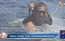 แห่ชื่นชม ‘ทหารเรือ’ ใจหล่อ ว่ายน้ำช่วยน้องเหมียวกลางทะเล