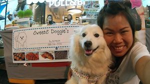 Dogs Should Also Stick With “Clean”