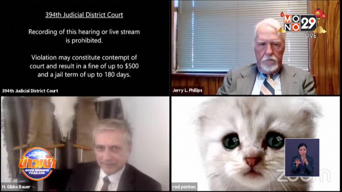 ทนายสหรัฐเปิดฟิลเตอร์แมวระหว่างไต่สวนคดีออนไลน์