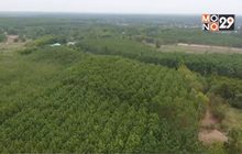 สศก.ประเมินทิศทางสินค้าเกษตรปีหน้า