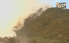 ไฟป่าลามเข้าเขตป่าสงวนในชิลี