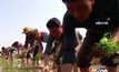 ​เกาหลีใต้เตรียมส่งข้าว 5 หมื่นตันช่วยเกาหลีเหนือ