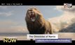The Chronicles of Narnia เตรียมรีเมคใหม่โดยค่ายสตรีมมิ่งรายใหญ่