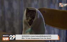 MONOMAX ชวนชมภาพยนตร์ญี่ปุ่นสุดประทับใจ
เรื่อง “If Cats Disappeared From the World”