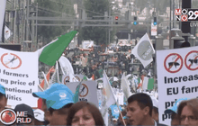 เกษตรกรประท้วง EU เพราะราคานมตกต่ำ