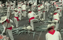 เม็กซิโกสร้างสถิติรวมพลนักทำเตกีลามากที่สุด