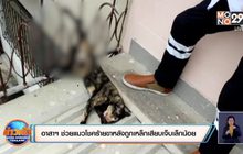 ​อาสาช่วยแมวโชคร้ายขาหลังถูกเหล็กเสียบเจ็บเล็กน้อย