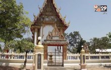 วัดเมืองโคราชติดป้ายห้ามนกพิราบเกาะหลังคากุฏิ