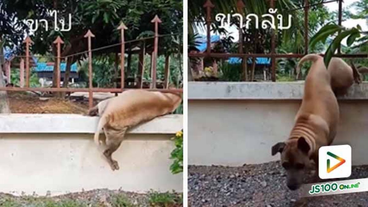 ถ้าใจเราผอมรั้วช่องแค่ไหนก็ลอดได้!!