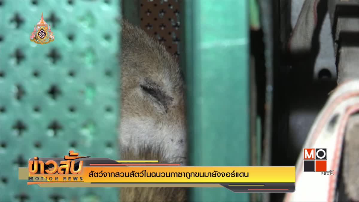สัตว์จากสวนสัตว์ในฉนวนกาซาถูกขนมายังจอร์แดน