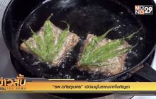 “รพ.อภัยภูเบศร” เปิดเมนูโบราณจากใบกัญชา