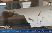 พบชิ้นส่วนต้องสงสัย MH370 เพิ่มในโมซัมบิก