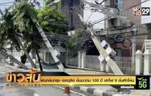 ฝนถล่มกรุง เขตดุสิต ต้นมะขาม 100 ปี เสาไฟ 9 ต้นหักโค่น