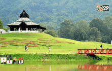 เติมสีสันรับปีใหม่กับเทศกาลดอกไม้ดาษดา