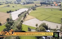 กระทรวงเกษตรฯ แนะอย่าปลูกข้าวนาปรังรอบ 2 เสี่ยงเสียหาย