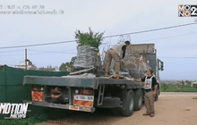 มอบต้นแอลมอนด์ให้เกษตรกรในกาซา