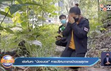 เร่งค้นหา “น้องบอส” หายปริศนากลางป่าดอยสุเทพ