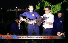 จับแล้วจระเข้โผล่ในแม่น้ำแม่กลอง จ.ราชบุรี