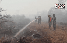 อินโดฯ ชี้เอลนีโญซ้ำเติมปัญหาไฟป่า