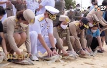 ทัพเรือภาค 3 ปล่อยเต่าทะเล เนื่องในวันแม่แห่งชาติ