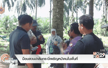 ม็อบสวนปาล์มกระบี่เผชิญหน้าคนในพื้นที่