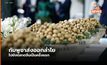 กัมพูชาส่งออก ‘ลำไย’ ป้อนตลาดจีนครั้งแรก