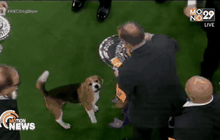 การประกวดสุนัขแสนรู้ในสหรัฐฯ