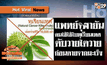 แพทย์จุฬาฯ ย้ำใบทุเรียนเทศรักษามะเร็งไม่ได้