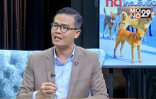 The Morning ไขคำตอบสุนัขจรจัดกัด ใครรับผิดชอบ ?