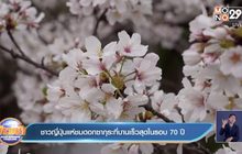 ชาวญี่ปุ่นแห่ชมดอกซากุระที่บานเร็วสุดในรอบ 70 ปี