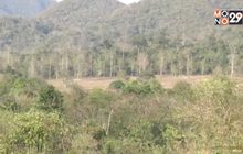 วิกฤตภัยแล้งแหล่งอาหารสัตว์ป่ากุยบุรีขาดแคลน