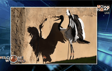 Welcome World 29-10-58