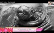 ชุด Xenomorph จาก Alien กำลังจะถูกนำมาประมูล