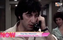 Dog Day Afternoon การกลับมาของตำนาน อัล ปาชิโน