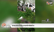 รถยนต์ชนนักปั่นนครศรีฯเสียชีวิต
