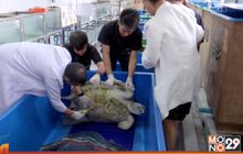 เจาะข่าวเด็ด The Day News update 22-03-60