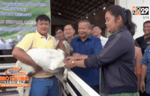 สัตว์ป่าเขตรักษาพันธุ์สัตว์ป่าภูวัวขาดแคลนอาหาร