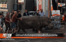 น้ำท่วมทำฮิปโปหลุดจากสวนสัตว์ในจอร์เจีย