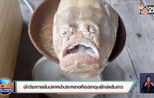 นักวิชาการยันปลาหน้าประหลาดคือปลาอุบยักษ์แต้มขาว