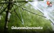 สภาพาอากาศวันนี้ ประเทศไทยตอนบนมีฝนตกหนักบางแห่ง