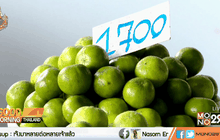 ร้อนจัด มะนาวแพงลูกละ 8-9 บาท