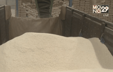 พาณิชย์ระบุปีนี้ผลิตข้าว 25.01ล้านตัน