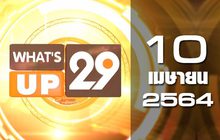 What’s up 29 10-04-64