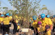 งานวิ่งบนถนนเส้นทางใหม่ “รวงผึ้ง Bangkok Run”