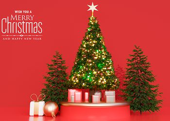 27 คำศัพท์ภาษาอังกฤษ เกี่ยวกับ  วันคริสต์มาส