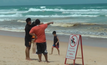 ชุดไกรทองลุ่มน้ำตาปี เร่งจับจระเข้ชายหาดกระรน