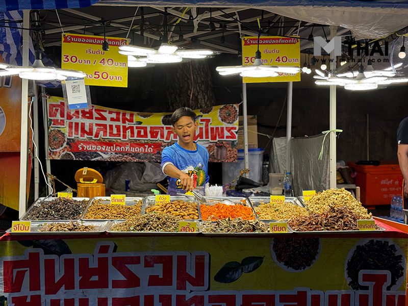 แมลงทอด