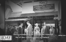 “เลี้ยงโคนม” อาชีพพระราชทาน