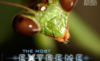 The Most Extreme Series สุดขีด! สัตว์พิศวง ปี 3